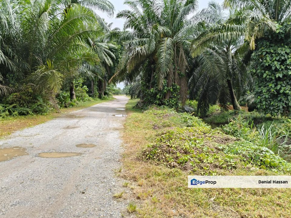 4.56 Acre Agricultural Land Tanah Pertanian Jenjarom Kuala Langat Banting, Selangor, Jenjarom