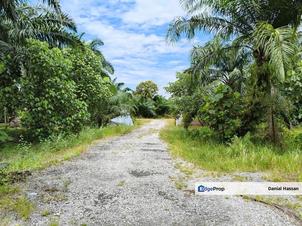 4.56 Acre Agricultural Land Tanah Pertanian Jenjarom Kuala Langat Banting, Selangor, Jenjarom