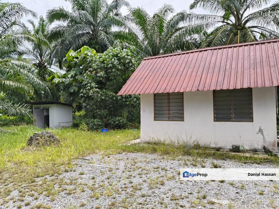 4.56 Acre Agricultural Land Tanah Pertanian Jenjarom Kuala Langat Banting, Selangor, Jenjarom