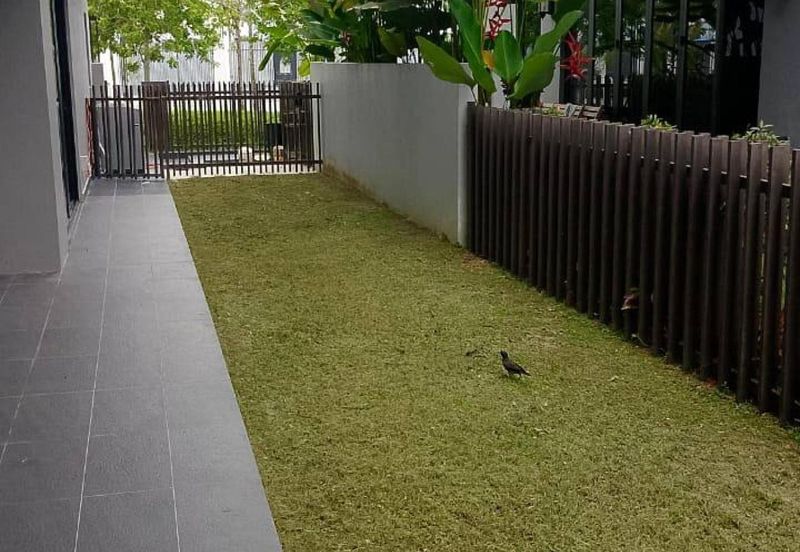 Grandezza @ Eco Sanctuary