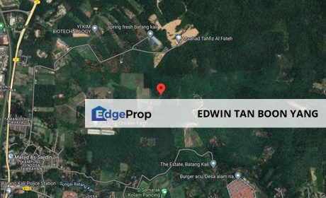 118424sf Land Open title Freehold with Musang king trees road access, Selangor, Batang Kali