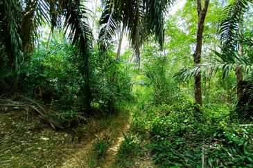 Taman Bunga Raya, Simpang Durian