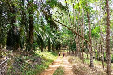 Taman Bunga Raya, Simpang Durian