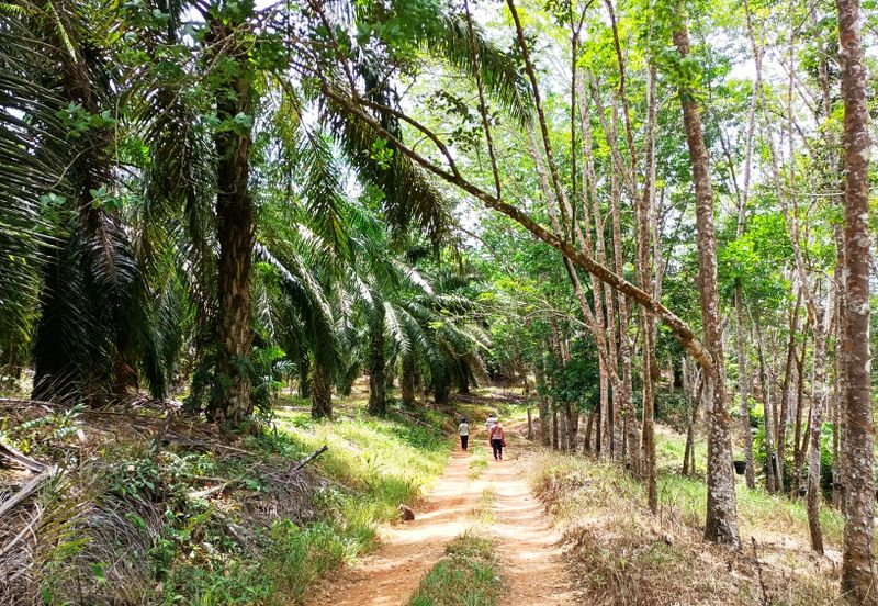 Taman Bunga Raya, Simpang Durian