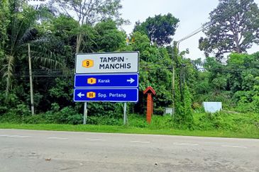 Taman Bunga Raya, Simpang Durian