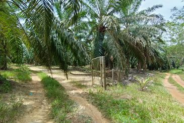 Taman Bunga Raya, Simpang Durian