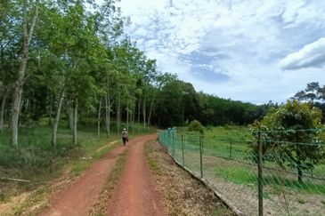 Taman Bunga Raya, Simpang Durian