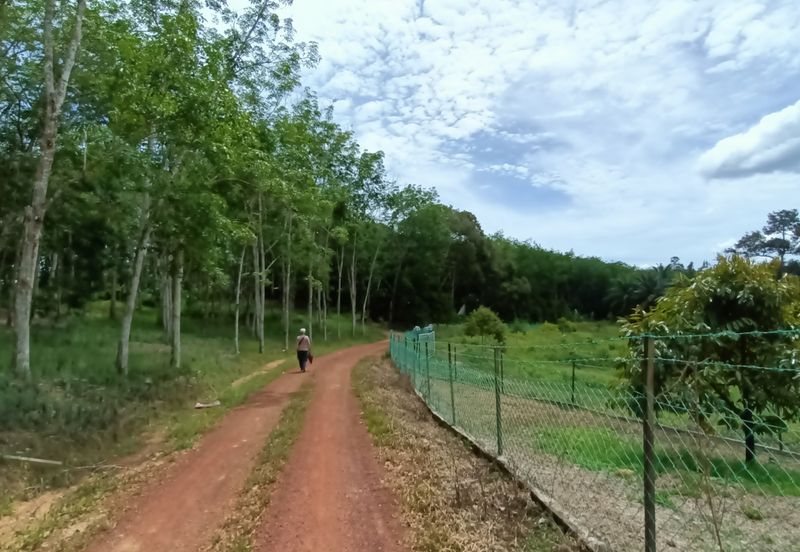 Taman Bunga Raya, Simpang Durian