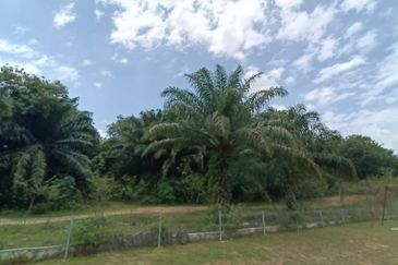 4.874 Acres Agricultural Land For Sale @ Klang Mukim Kapar, Selangor