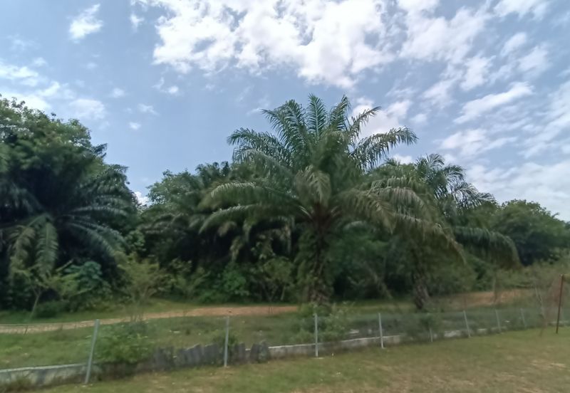 4.874 Acres Agricultural Land For Sale @ Klang Mukim Kapar, Selangor