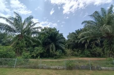 4.874 Acres Agricultural Land For Sale @ Klang Mukim Kapar, Selangor