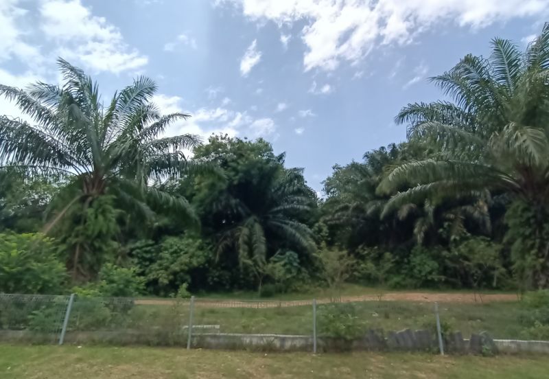 4.874 Acres Agricultural Land For Sale @ Klang Mukim Kapar, Selangor