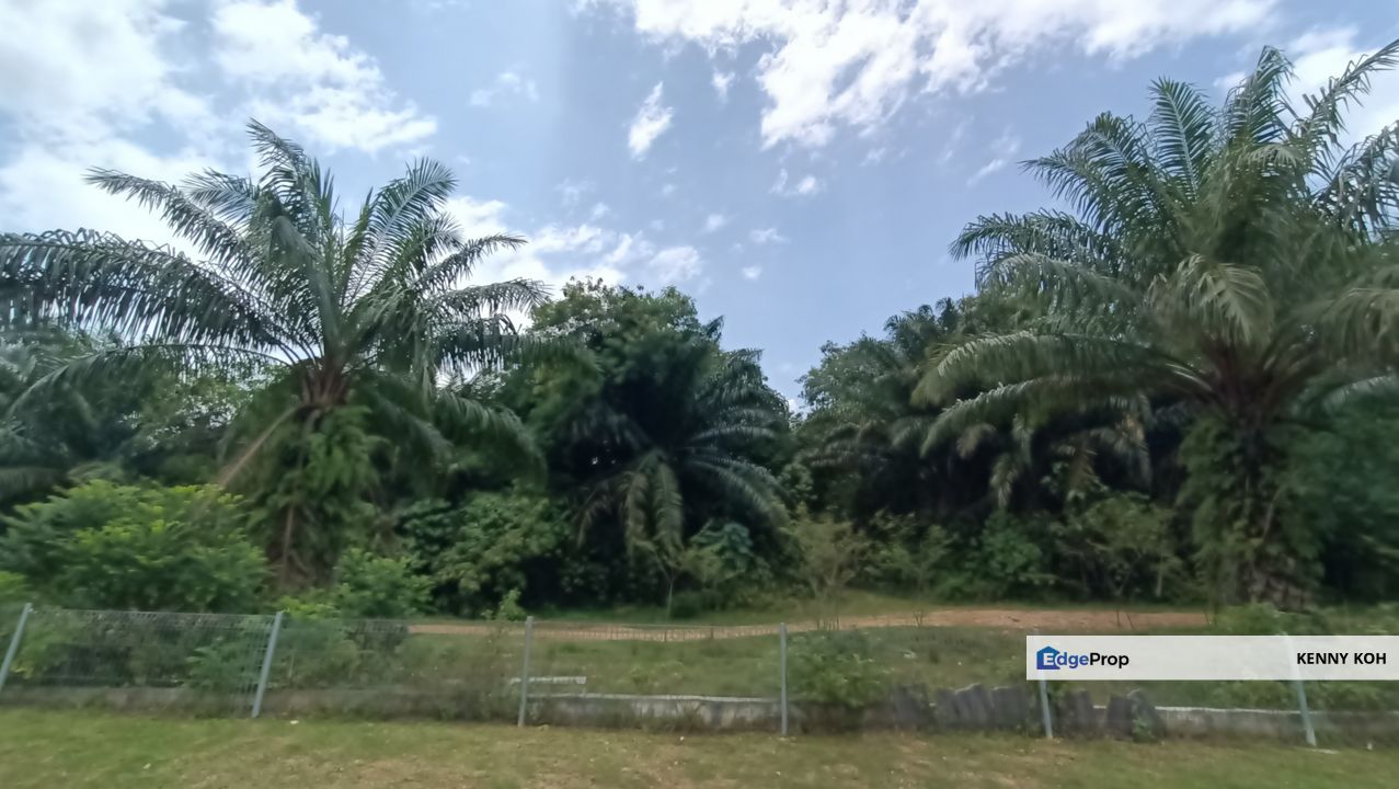 4.874 Acres Agricultural Land For Sale @ Klang Mukim Kapar, Selangor, Selangor, Klang