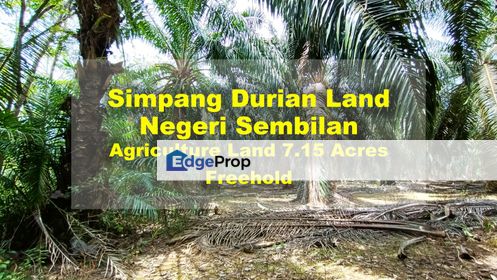 Simpang Durian, Negeri Sembilan Agriculture Land Freehold 7.15 Acres For Sale, Negeri Sembilan, Jelebu