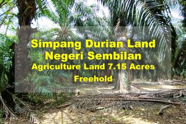 Taman Bunga Raya, Simpang Durian