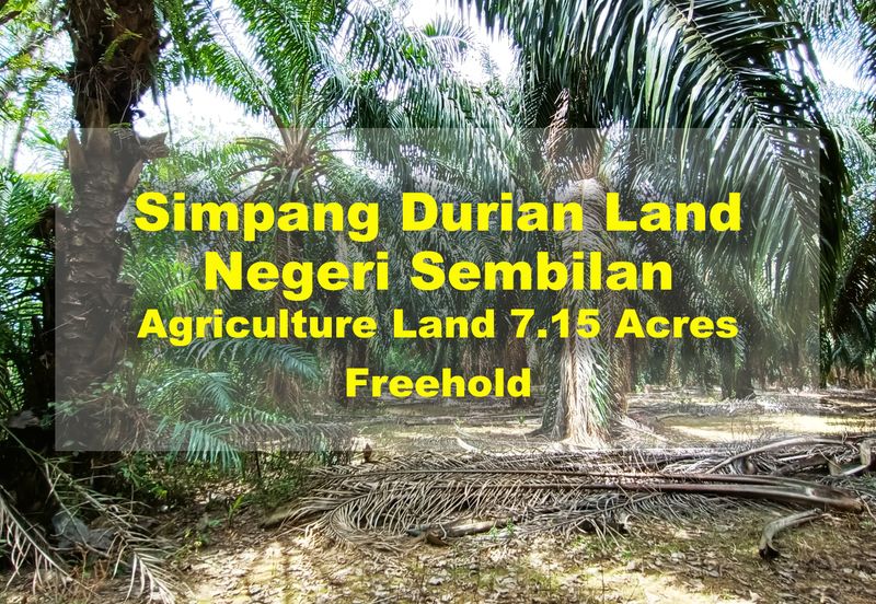 Taman Bunga Raya, Simpang Durian