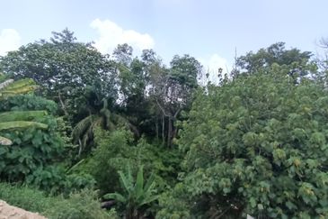 Jalan Mutiara, Nilai 7