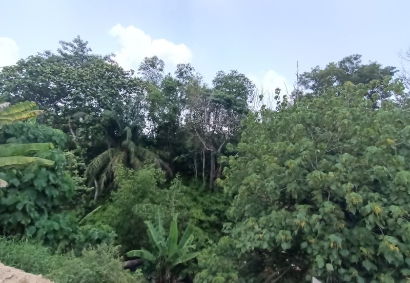 Jalan Mutiara, Nilai 7