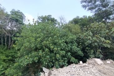 Jalan Mutiara, Nilai 7