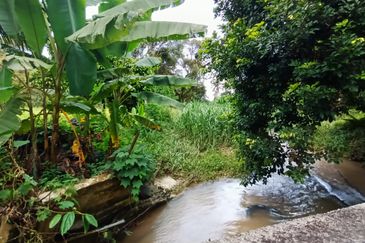 9 acres Durian Farm Pahang Raub, Jalan Sungai Chalit, Kampung Sungai Klau Agricultural Land