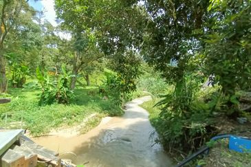 9 acres Durian Farm Pahang Raub, Jalan Sungai Chalit, Kampung Sungai Klau Agricultural Land