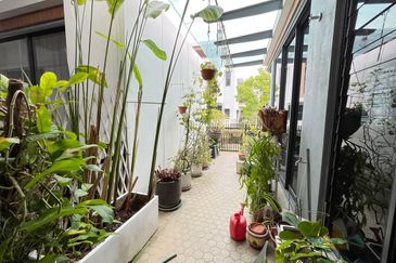 Terraza @ Eco Sanctuary