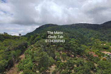 The Marin