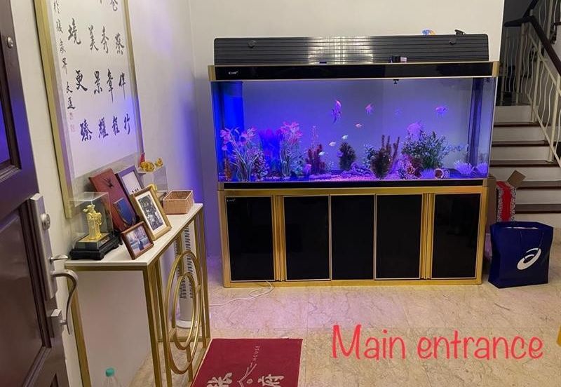 Must buy Moonlight Bay Bungalow 