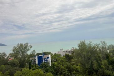 Cheapest Ferringhi Delima For Sale 