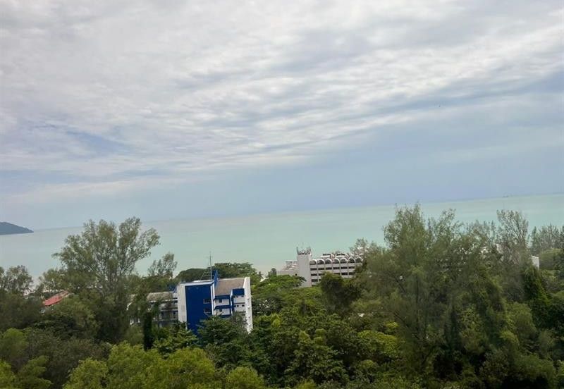 Cheapest Ferringhi Delima For Sale 