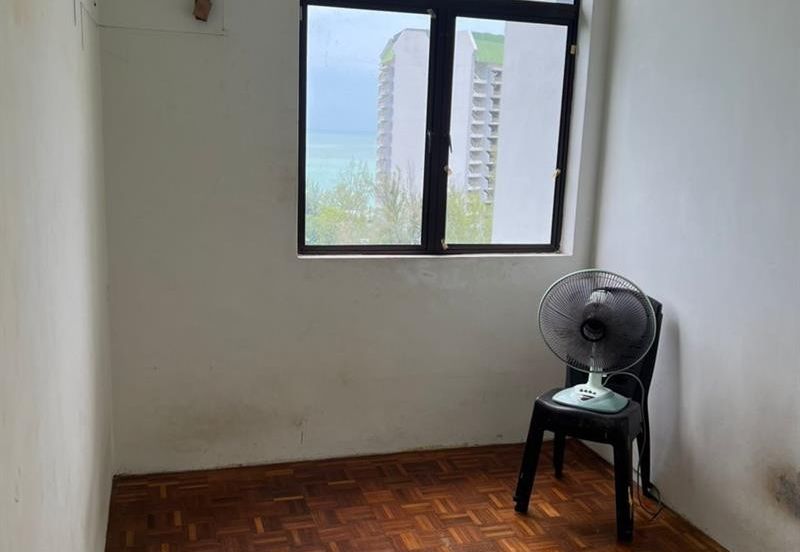 Cheapest Ferringhi Delima For Sale 