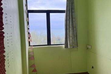 Cheapest Ferringhi Delima For Sale 