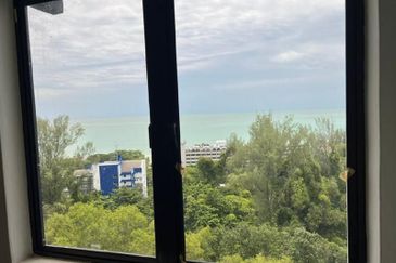 Cheapest Ferringhi Delima For Sale 