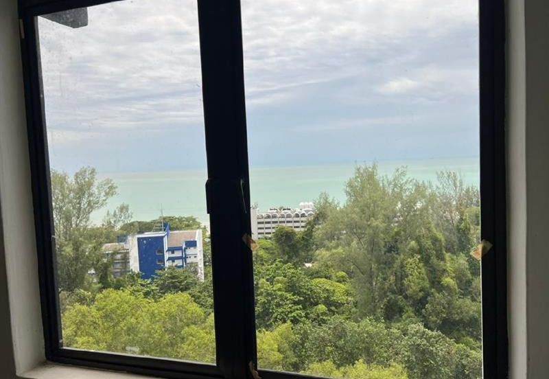 Cheapest Ferringhi Delima For Sale 