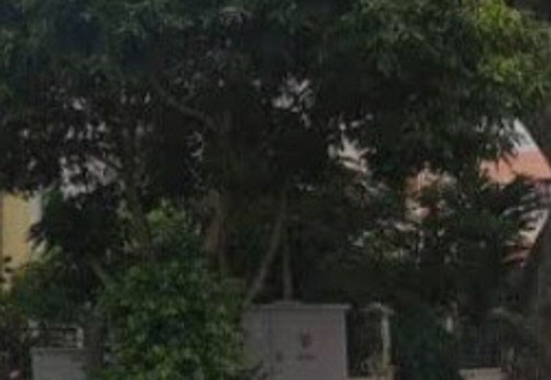 Best corner unit Hillview Garden Tanjung Bungah 