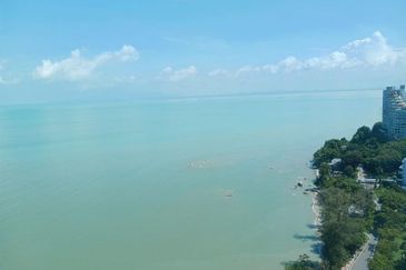 Must Rent Island Resort 