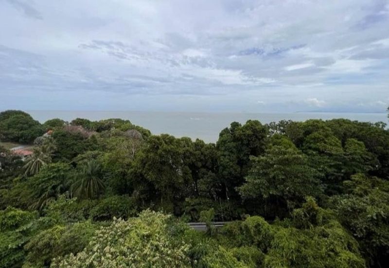 Best Bayu Feringghi for rent