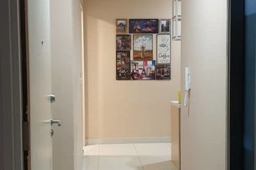 Cyperus @ Tropicana Gardens