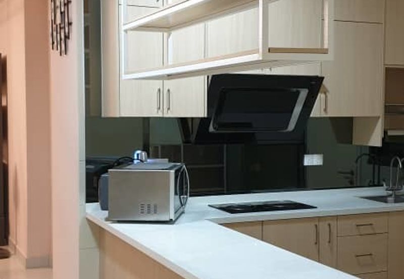 Cyperus @ Tropicana Gardens