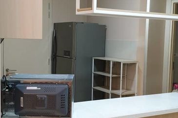 Cyperus @ Tropicana Gardens