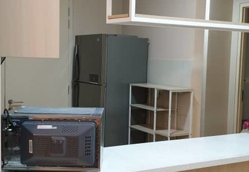 Cyperus @ Tropicana Gardens