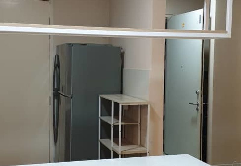 Cyperus @ Tropicana Gardens