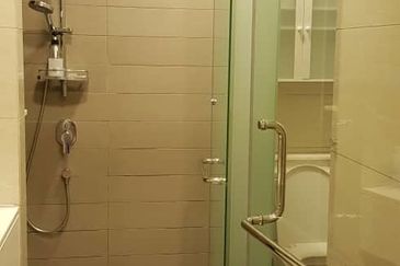 Cyperus @ Tropicana Gardens