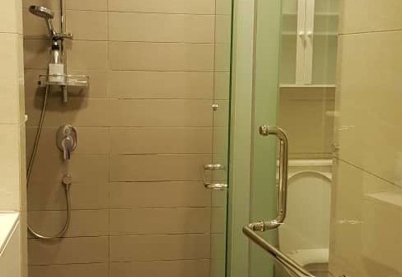 Cyperus @ Tropicana Gardens