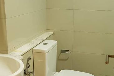 Cyperus @ Tropicana Gardens