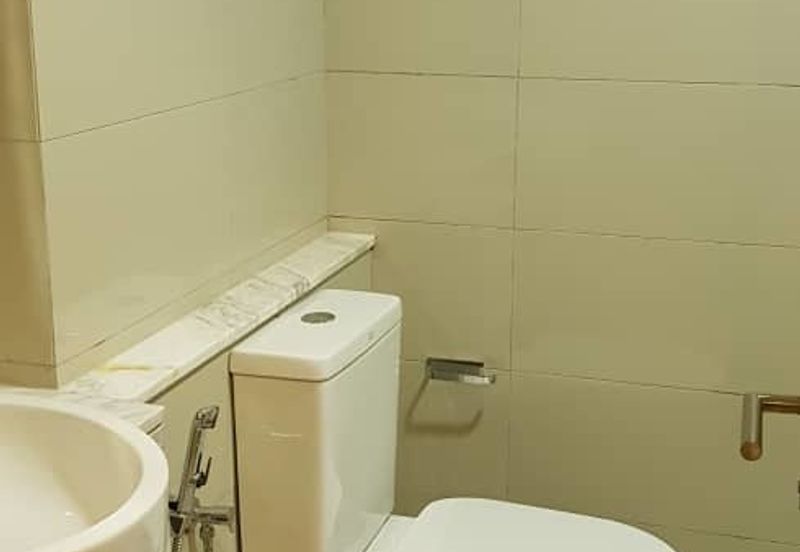 Cyperus @ Tropicana Gardens