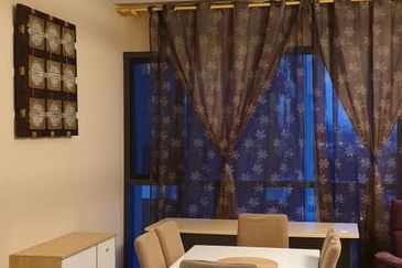 Cyperus @ Tropicana Gardens