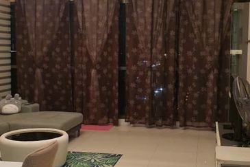 Cyperus @ Tropicana Gardens