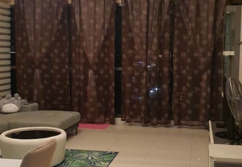 Cyperus @ Tropicana Gardens