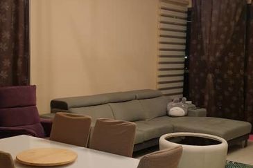 Cyperus @ Tropicana Gardens